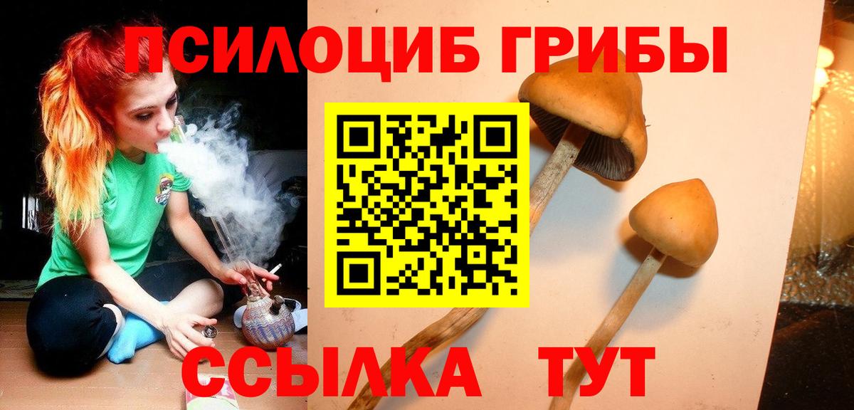 Псилоцибиновые грибы мицелий  Вход с VPN  Серов 